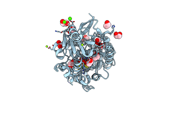 8EZF image