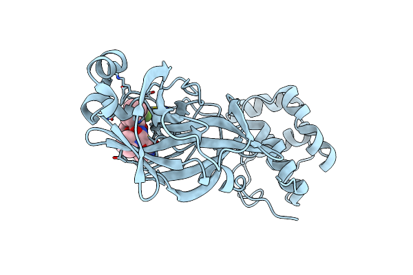 8EZV image