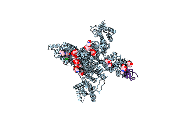 8F0S image