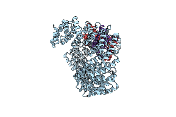 8F0X image
