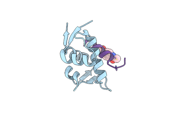 8F0Z image