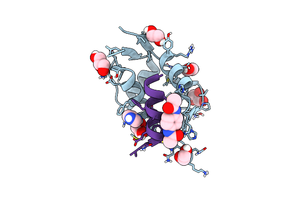8F10 image