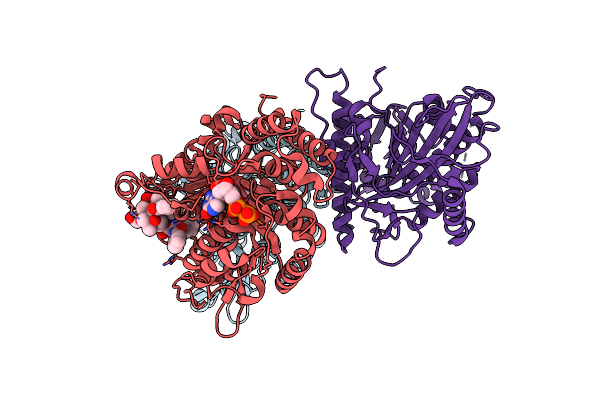 8F1A image
