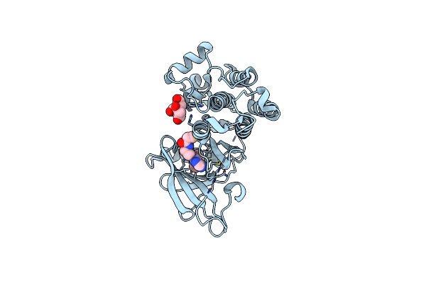 8F1H image