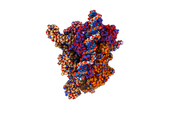 8F1K image
