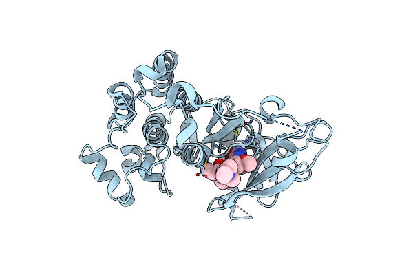 8F1X image