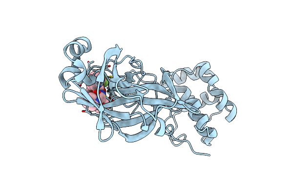 8F2C image