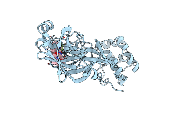 8F2D image
