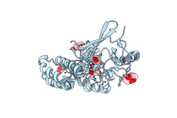 8F2E image