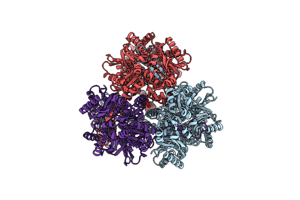8F4R image