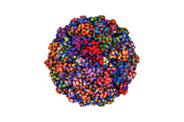 8F4X image