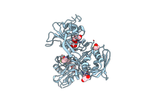 8F51 image