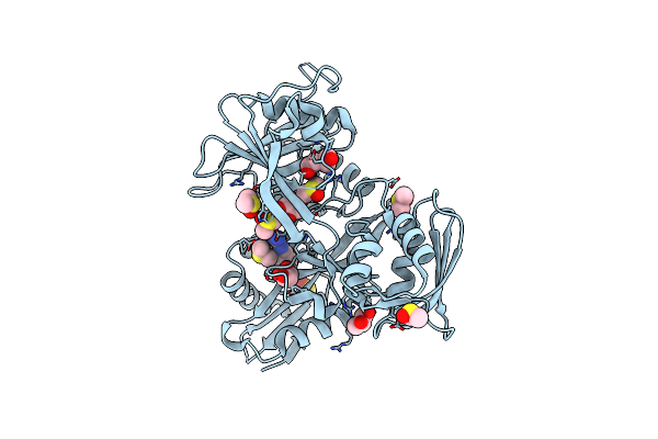 8F55 image