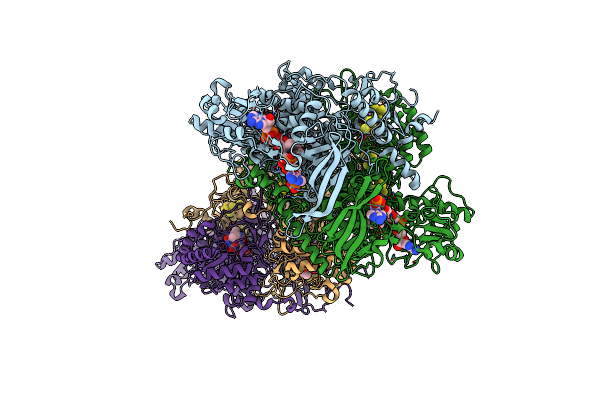 8F5W image
