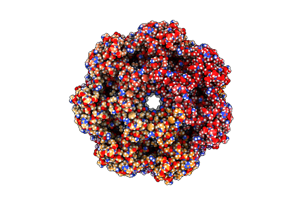 8F6A image