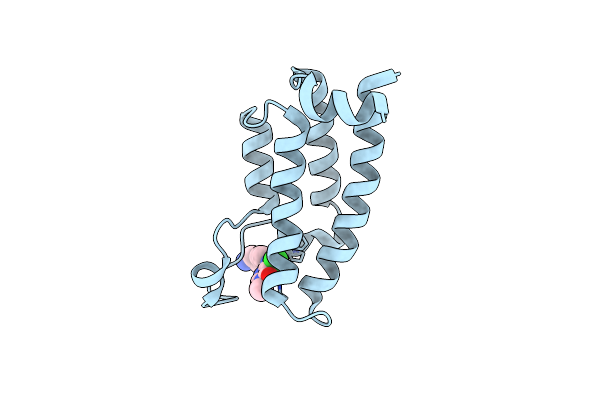 8F6G image