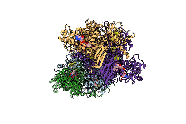 8F6N image