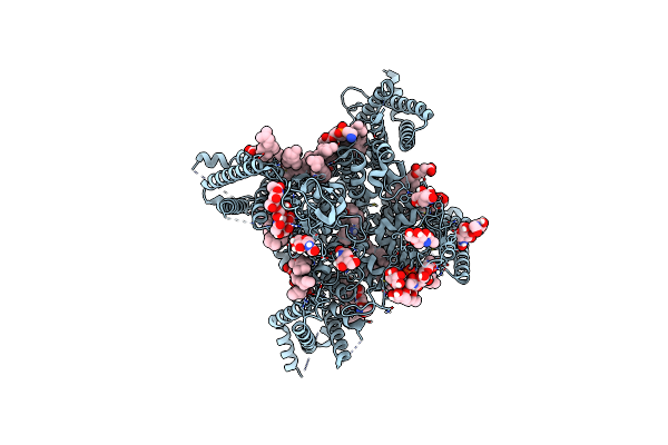 8F6P image