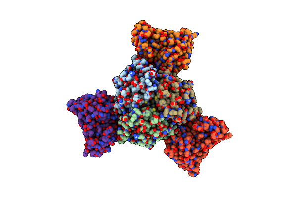 8F6X image