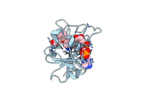 8F81 image