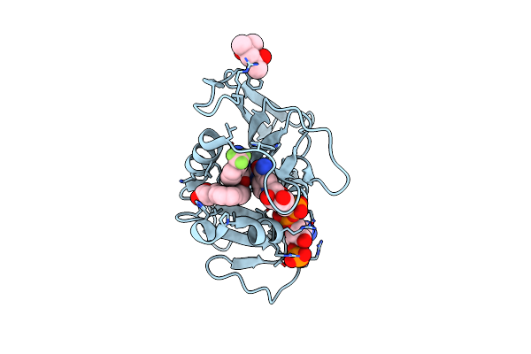 8F82 image