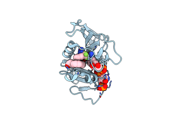 8F85 image