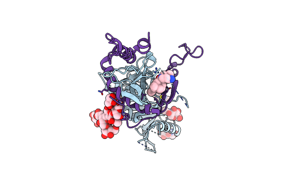 8F87 image
