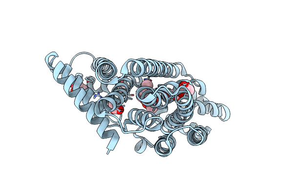 8F8K image