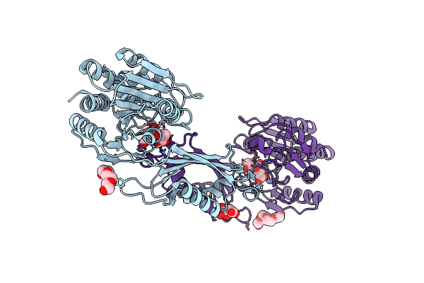 8F8O image