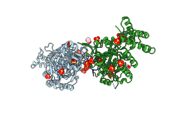 8F8Z image