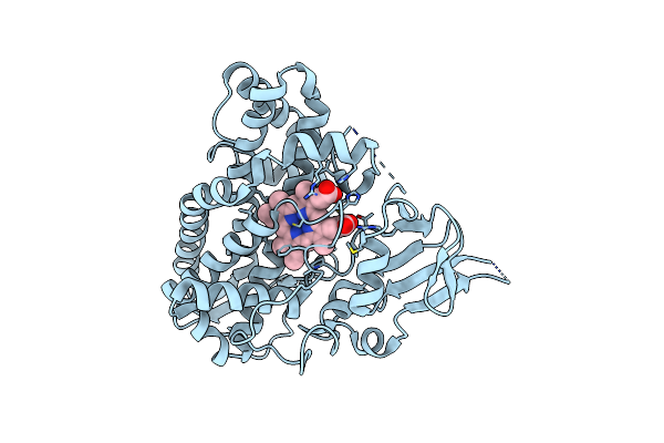 8F91 image