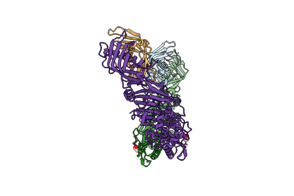 8FBD image