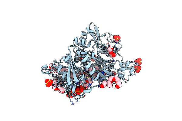 8FBQ image
