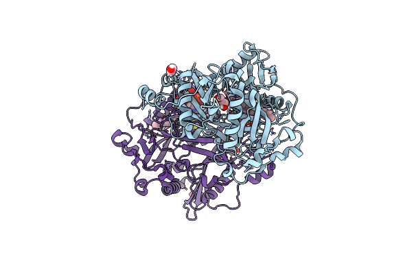 8FBT image