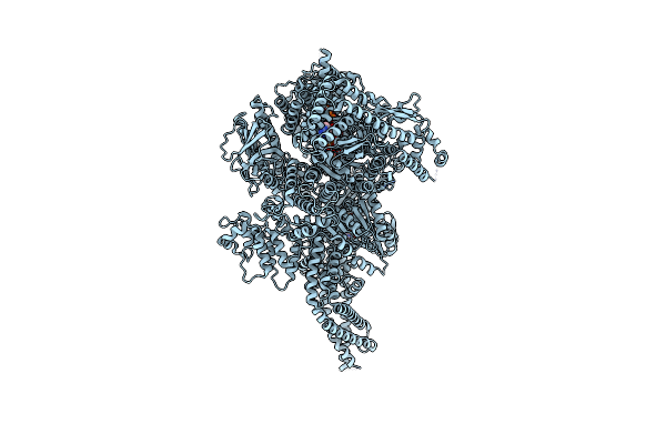 8FD6 image