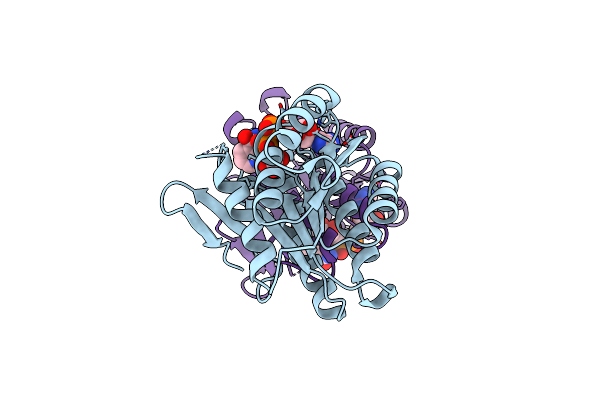 8FD8 image