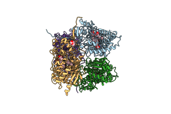 8FDA image