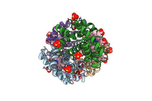 8FDL image