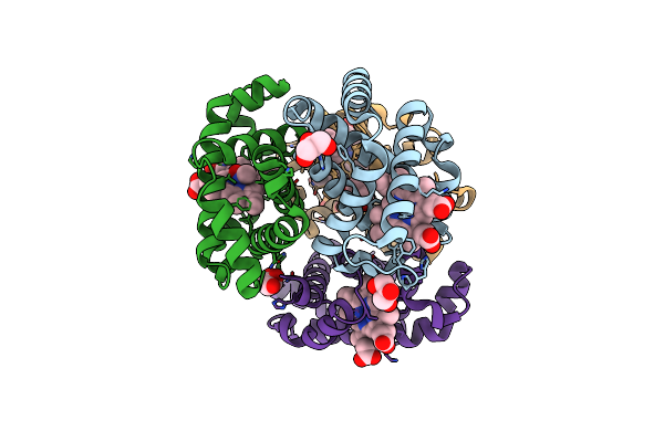 8FDM image