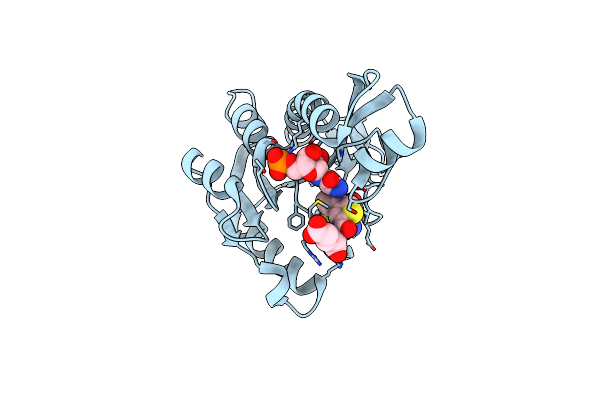 8FDX image