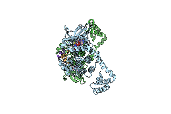 8FEC image