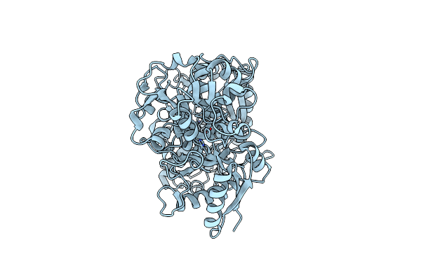 8FEI image