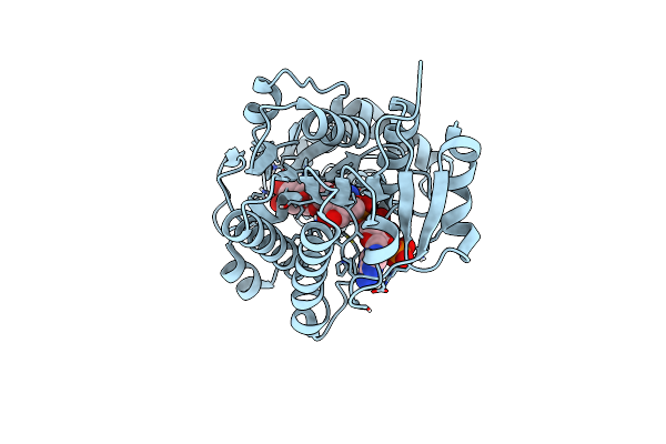 8FEN image