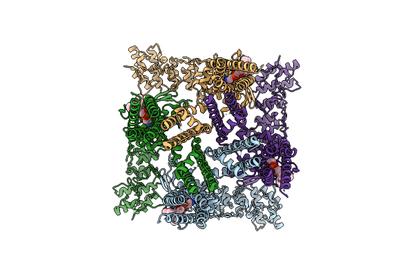 8FFL image
