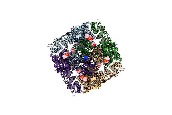8FFQ image
