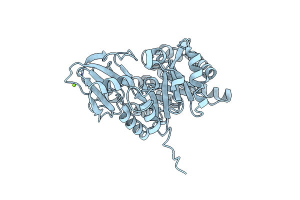 8FG7 image