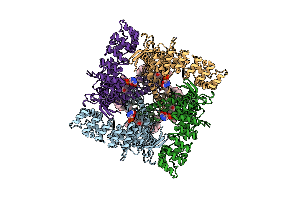 8FHI image