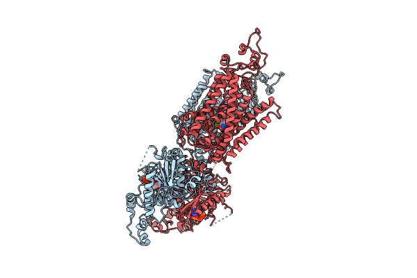 8FHN image