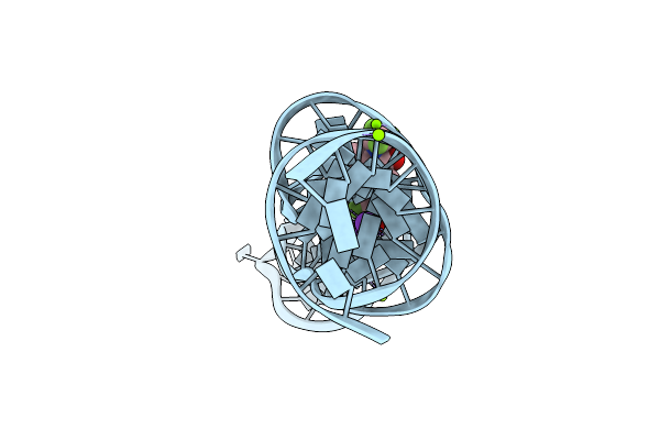 8FI2 image