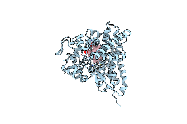 8FIB image